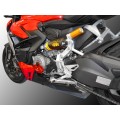 DBK Special Parts (Ducabike) Alternator Cover / Slider for Streetfighter V2 (22-24)